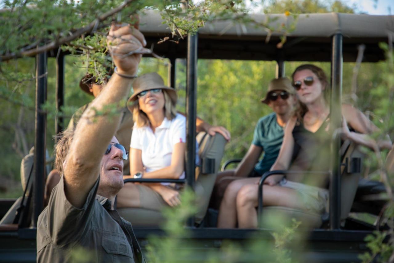 Parsons Hilltop Safari Camp 발룰레 게임 리저브 외부 사진