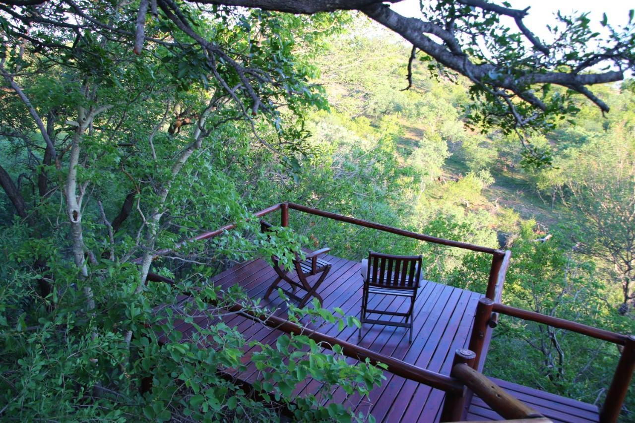 Parsons Hilltop Safari Camp 발룰레 게임 리저브 외부 사진