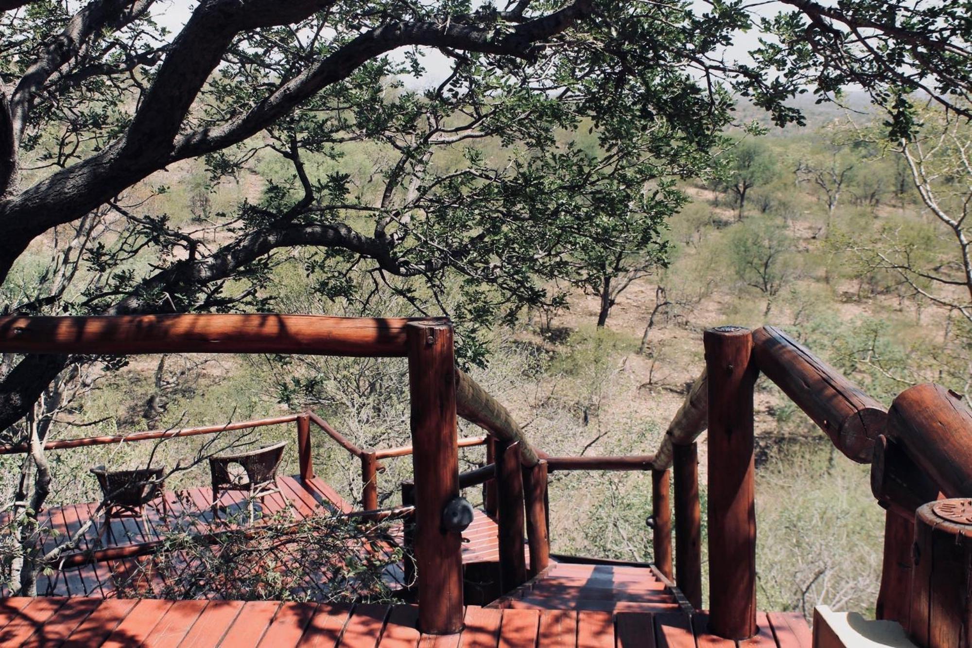 Parsons Hilltop Safari Camp 발룰레 게임 리저브 외부 사진
