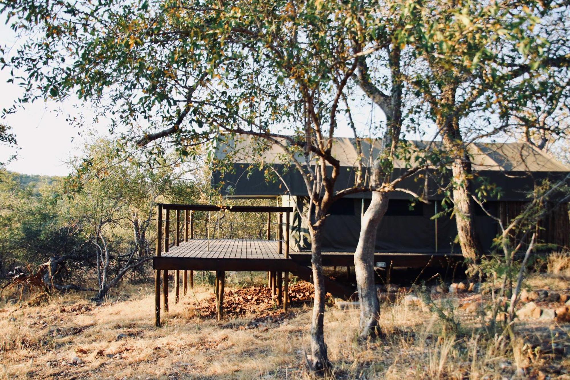 Parsons Hilltop Safari Camp 발룰레 게임 리저브 외부 사진