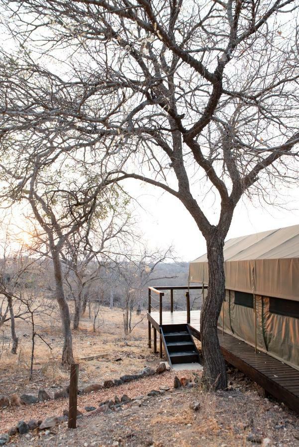 Parsons Hilltop Safari Camp 발룰레 게임 리저브 외부 사진